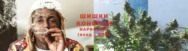 ГАЛЛЮЦИНОГЕННЫЕ ГРИБЫ Навашино