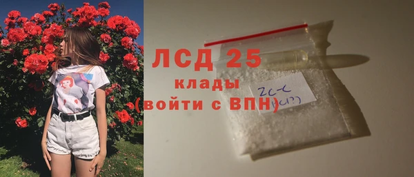 ГАЛЛЮЦИНОГЕННЫЕ ГРИБЫ Навашино