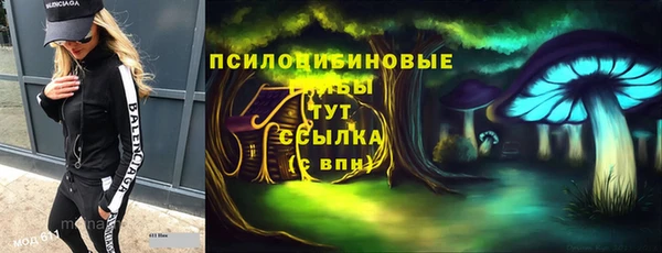 ГАЛЛЮЦИНОГЕННЫЕ ГРИБЫ Навашино