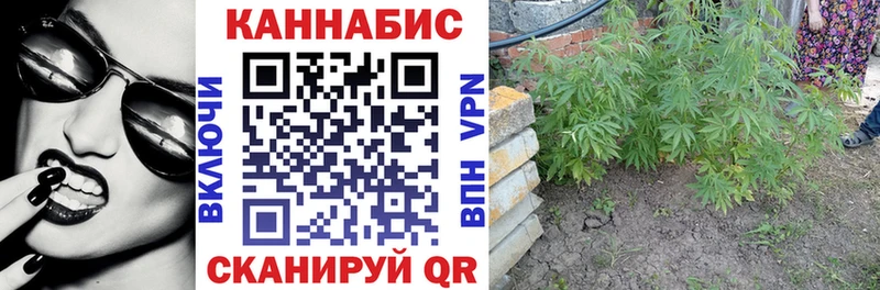 Купить  Балашиха  Каннабис индика 